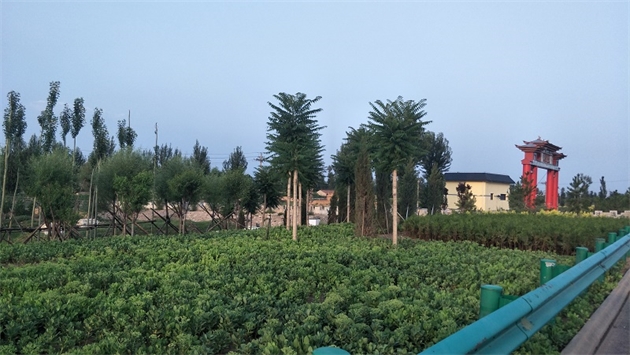 標(biāo)題：張家口經(jīng)開(kāi)區(qū)腰站堡飲用水源地生態(tài)涵養(yǎng)綠化
瀏覽次數(shù)：2746
發(fā)表時(shí)間：2020-10-16